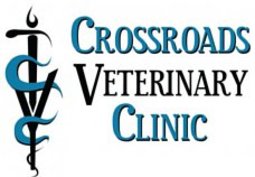 Crossroads Veterinary Clinic | Exam at Crossroads Veterinary Clinic