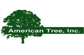American Tree