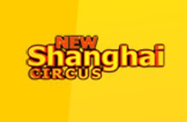 New Shanghai Circus